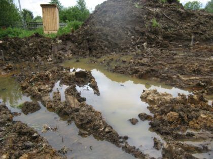 Наличие заболоченных и подтопленных мест на участке – явное свидетельство высокого уровня грунтовых вод либо наличия глинистых почв с плохими дренажными характеристиками