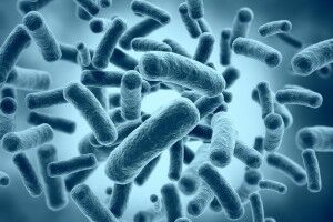 Бактерии для септиков и выгребных ям