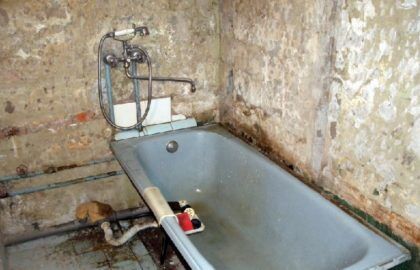 Грибок в ванной комнате, обнаруженный в ходе ремонта под снятой плиткой