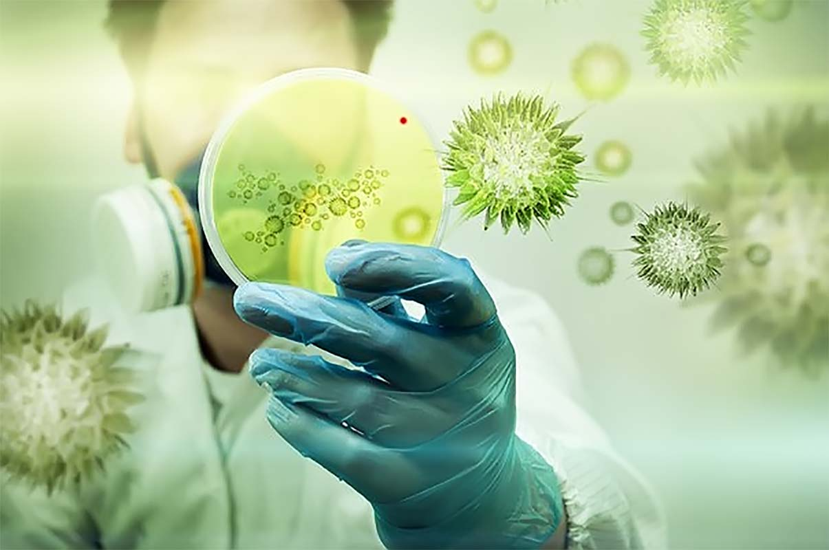 Вирусы и микробы. Бактерии и вирусы в биотехнологиях. Бактерии в биотехнологии. Микробы инфекции.